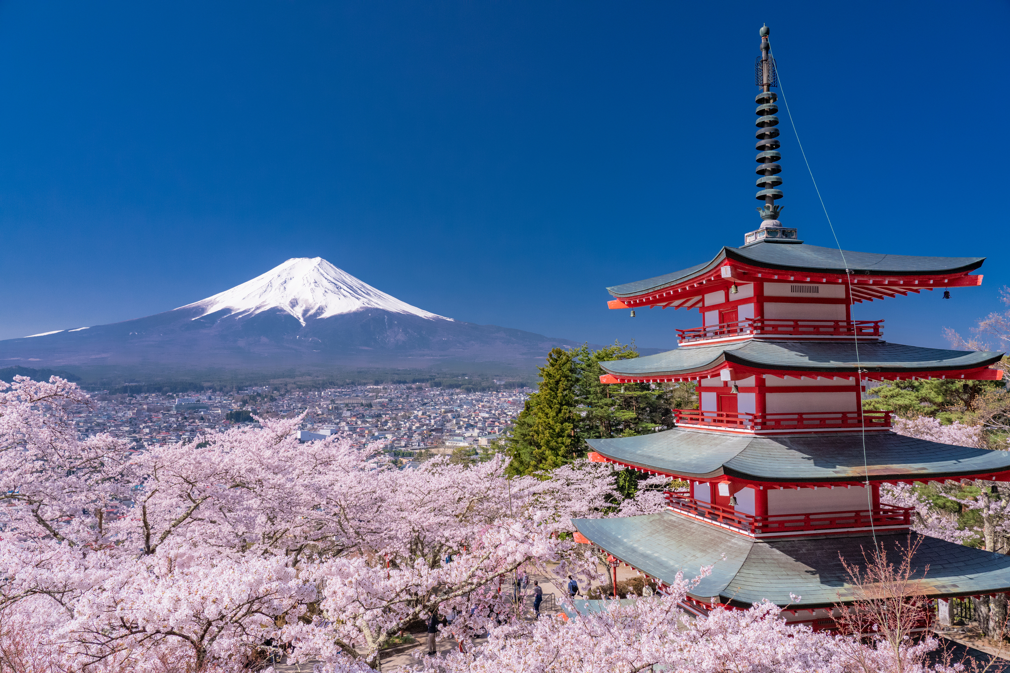 Arakura Fuji Sengen Shrine: Make Your Own Ramen + Mt. Fuji views